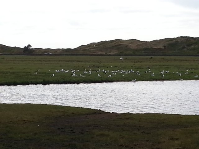 HWK Texel 062.jpg